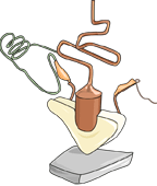 Fig. 30 : New route to large scale Quantum computing