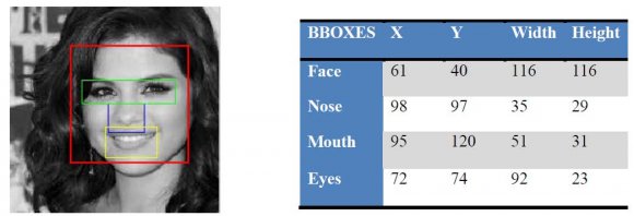 Fig. 15 : Incorrect Detection of face, nose, eyes, mouth. Fig. 16 : Side view of image where face not detect