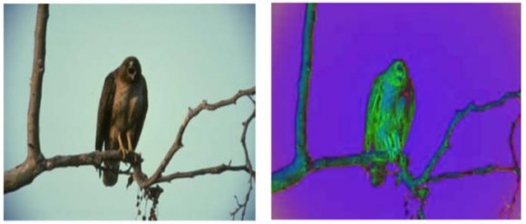 Figure 6: Sample to HSV Converted Resultf) RGB Color SpaceA color image f?RN×3 is made of three independent images, one for each channel red, green and blue which is called RGB color space[11]. Here Size N= n×n of the image; where n = 256; N = n*n. RGB is the most widely used color space, that each color image is combination of three different images, those are Red image, Blue image and black image[12].