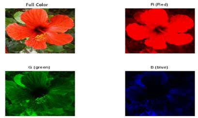 Figure 8: Sample to RGB Converted Result