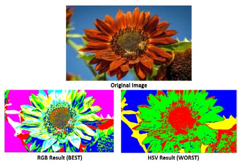Figure 17: RGB Result on Fruit image after Color Segmentation