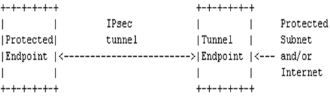 Figure 3 : Endpoint to Security Gateway Tunnel