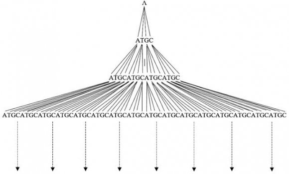 Fig. 1: Quaternary tree structure for strand formation