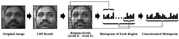 Fig. 6: Dataset created for an individual user with a unique ID Every image turns into an n-dimensional Array. Using radius: 1, neighbors: 8, grid_x: 8, grid_y: 8 of LBPH algorithm, the n-dimensional array of the trained images looks like Fig. 7.