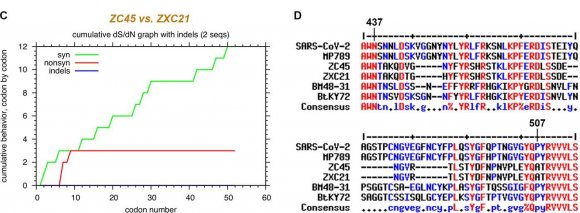Figure 8: Abnormal distribution of synonymous and non-synonymous mutations in Spike associated with pangolin coronaviruses. A. Comparison between MP789 and P4L (MT040333.1). B. Comparison between the two bat coronaviruses BM48-31 and BtKY72.