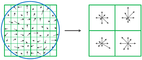 Fig. 4: Matching Result for Images with Scale Changes