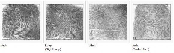 Figure 3 : Image comparison (a) Fingerprint image before shifting (b) N-bit Shifted image (c) Twin complex conjugate phase image (d) RCCP Transformed image