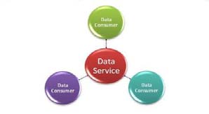 Figure 4 : Basic data value chain Figure 4 shows the value of interweaving DaaS providers to increase the value of data and promote data reuse. The synergistic value comes when two or more services can feed each other value. This enables the ecosystem to grow the data value chain by way of enrichment between data consumers and data producers