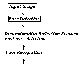 Figure 2 : Necessary flow of dimensionality reduction techniques