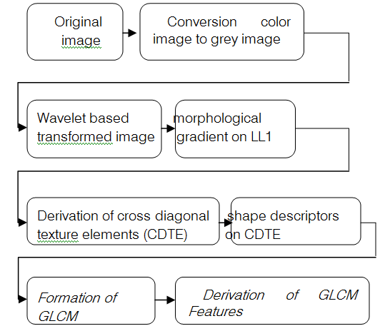 Wavelet based Morphological Gradient Binary Cross Diagonal S hape Descriptors Texture Matrix (wmg-bcdsdtm) Classification Methodology