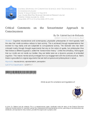 Critical Comments on the Sensorimotor Approach to Consciousness